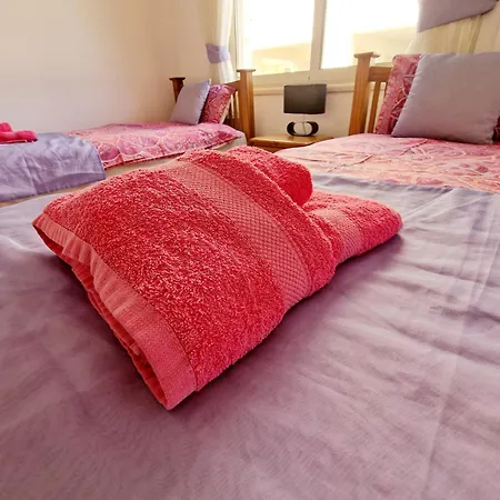 C5 Vanessa Poolside 페이야